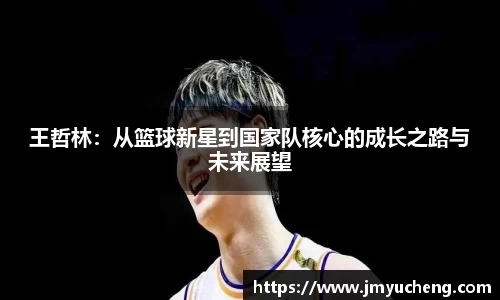 王哲林：从篮球新星到国家队核心的成长之路与未来展望