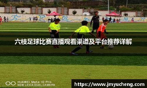 金年会金年会·jinnian(金字招牌)诚信至上